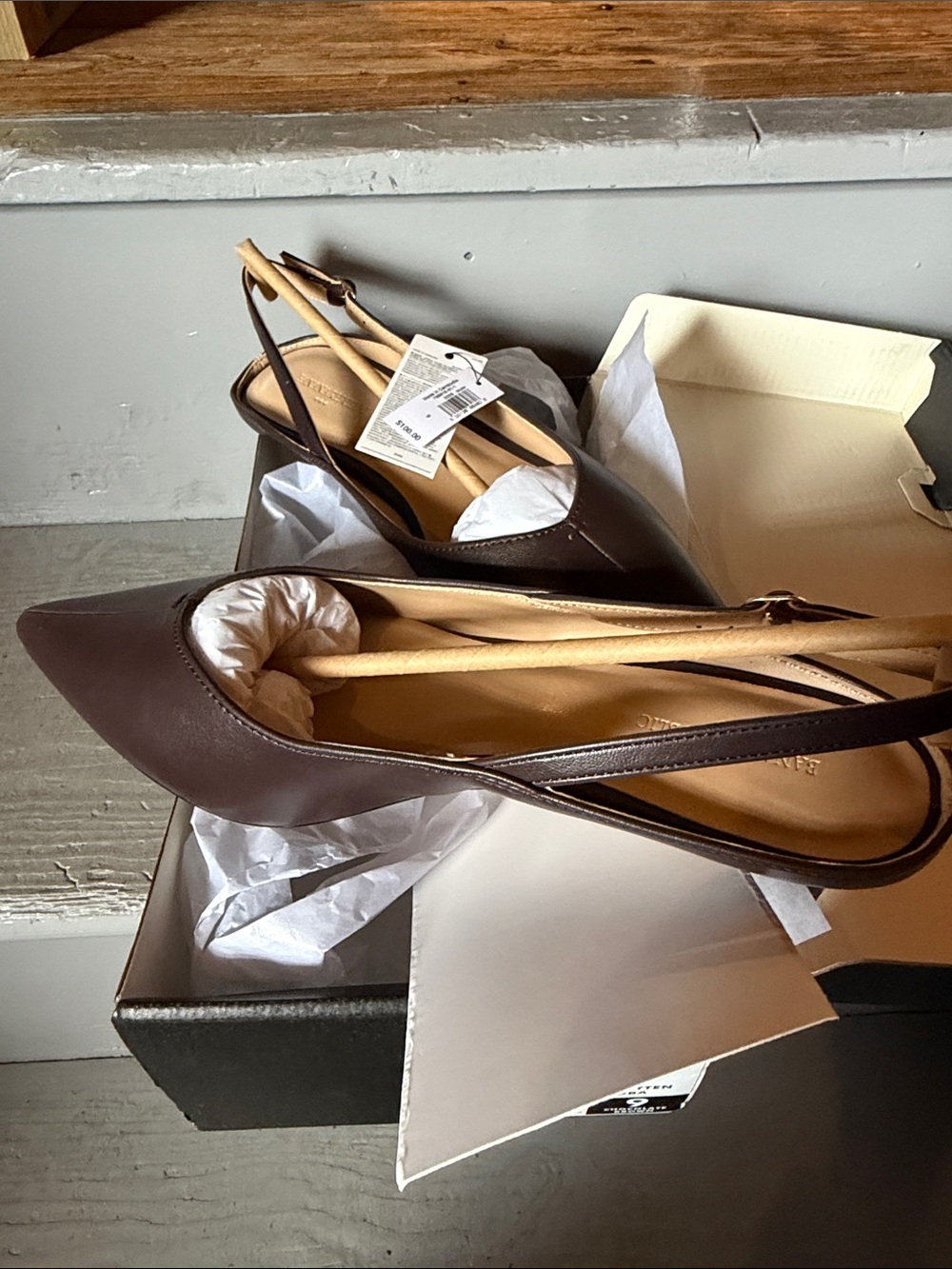Banana Republic Pointed Slingback Pumps in Brown